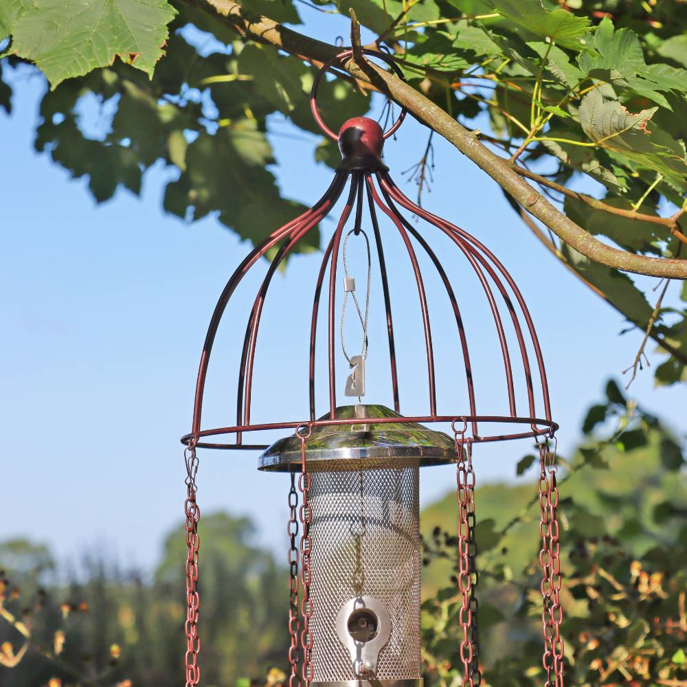 Medusa Bird Feeder Defender